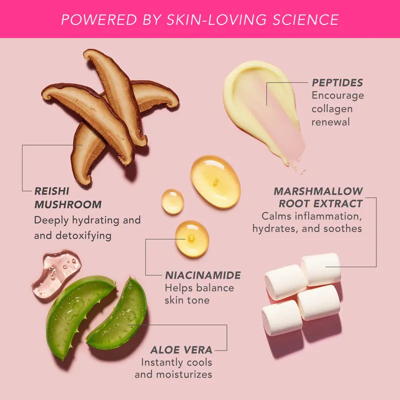 Peptide Bounce Flexible Foundation with Brush